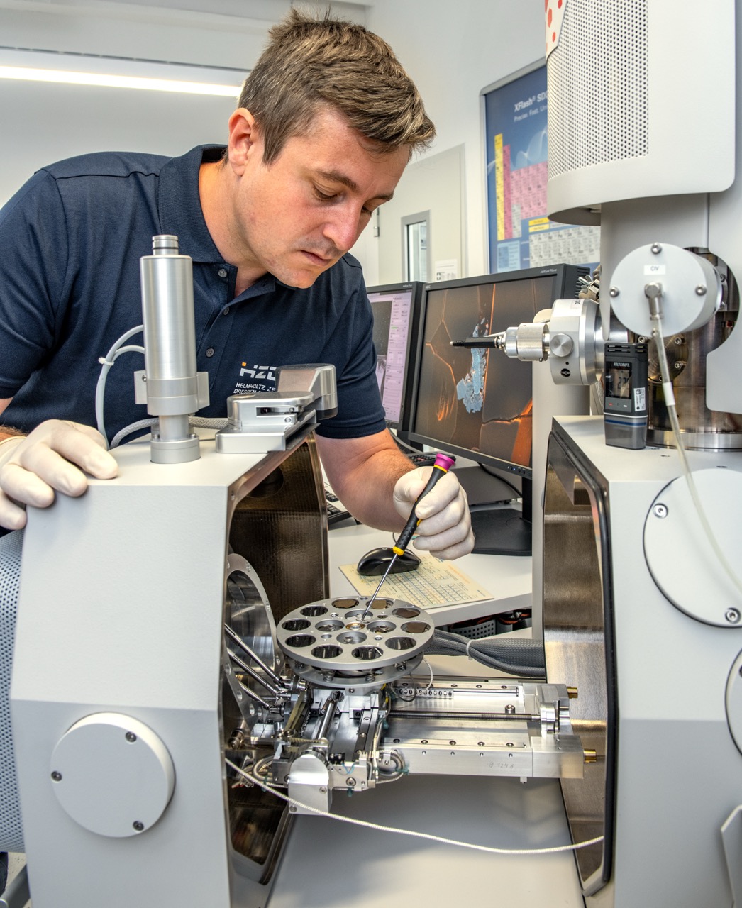 Groß (DSC_6210 (3))